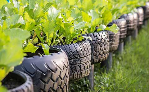 tires used as flower pots