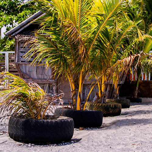 Tire Recycling: palm tree planter